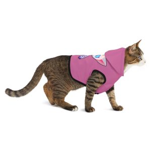 Cassy the Catbot Pet Hoodie